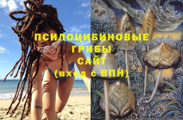 прущие крисы Каменск-Шахтинский