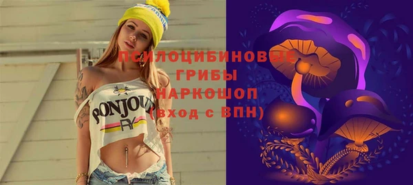 винт Каменногорск